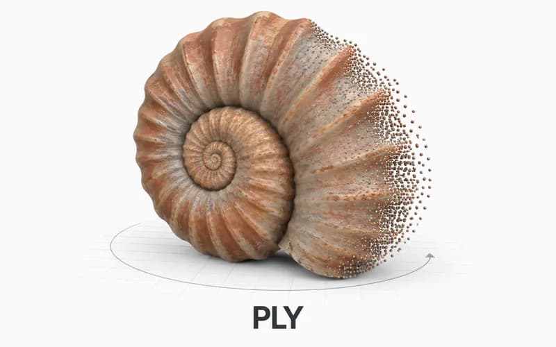 A pale terracotta spiral seashell scan represented by colored points and a surface mesh, labeled PLY.